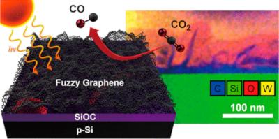Fuzzy graphene helps achieve a sustainable and carbon-neutral economy image