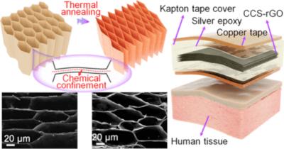 New fabrication strategy enhances graphene aerogel sensitivity and durability for human-machine interfaces image