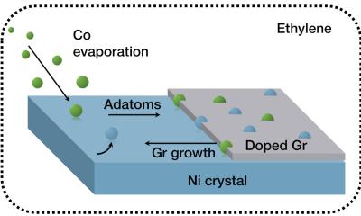 Trapping single metal atoms in graphene image