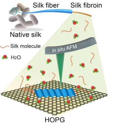 Flexible circuits made with silk and graphene image