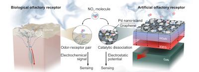 Network of artificial olfactory receptors for spatiotemporal monitoring of toxic gas image