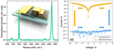 Memristors with Monolayer Graphene Electrodes Grown Directly on Sapphire Wafers image