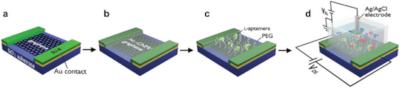 Schematic illustration of the fabrication steps of the l-AP/PEG-CNM GFET sensors image