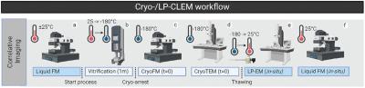 Microscope shows nanoscale biological process as it occurs image