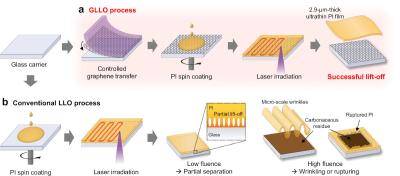 GLLO process vs. regular LLO process image