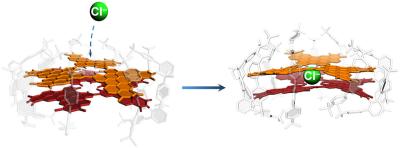 Bilayer nanographene system allows halide permeation through a benzene hole image